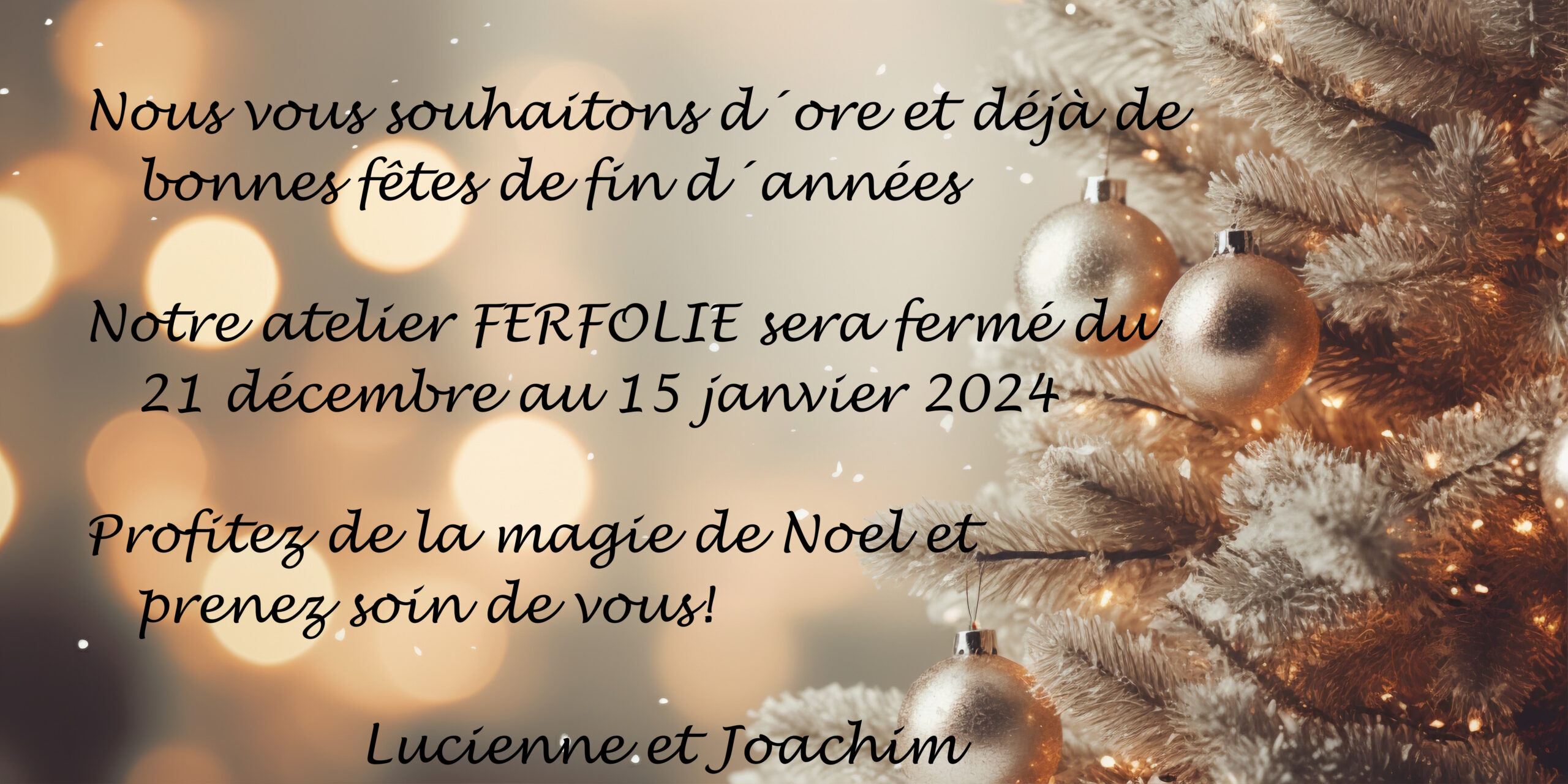 You are currently viewing Fermeture Noel et nouvel An