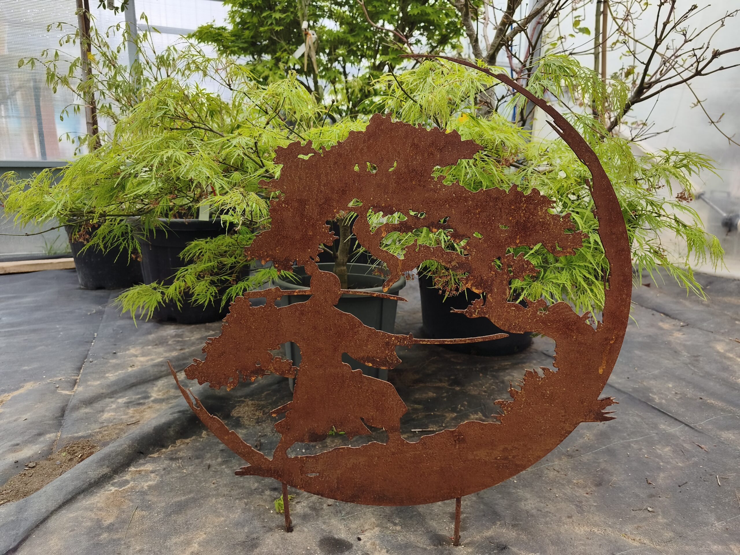 Samourai et bonsai