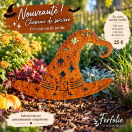 Chapeau de sorcière